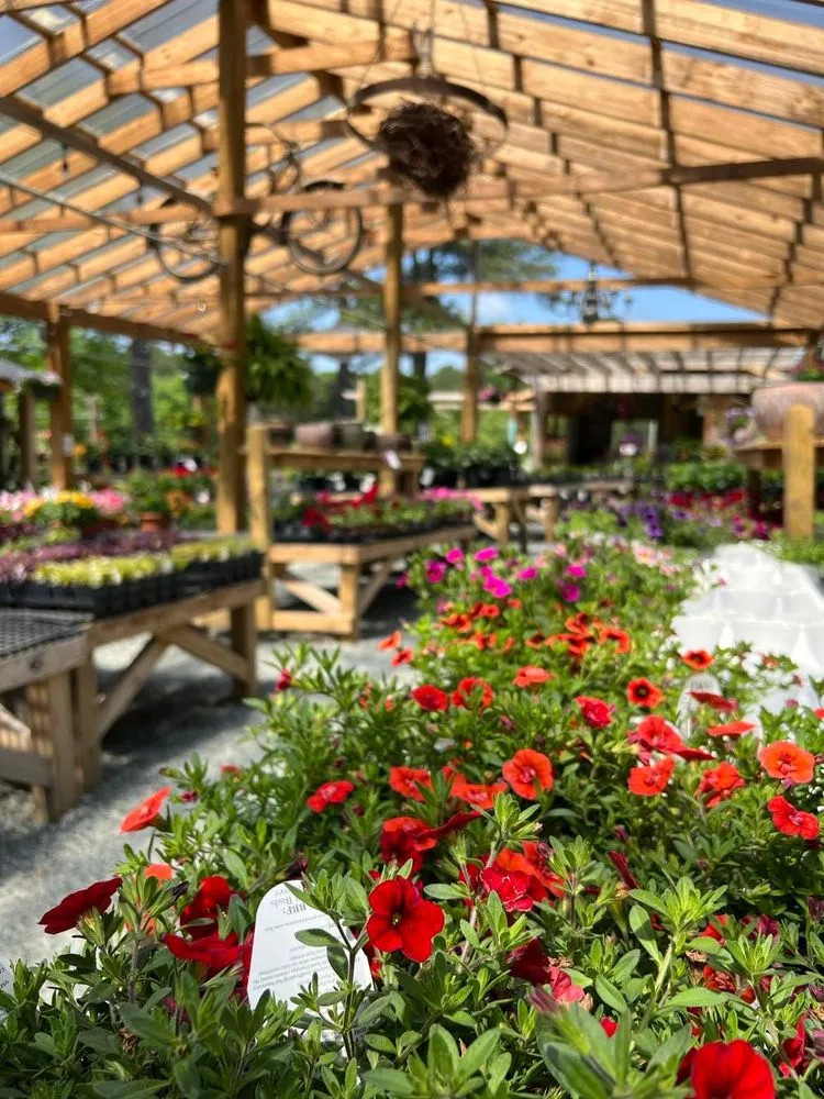 Custom landscaping services in Durham, NC by For Garden's Sake