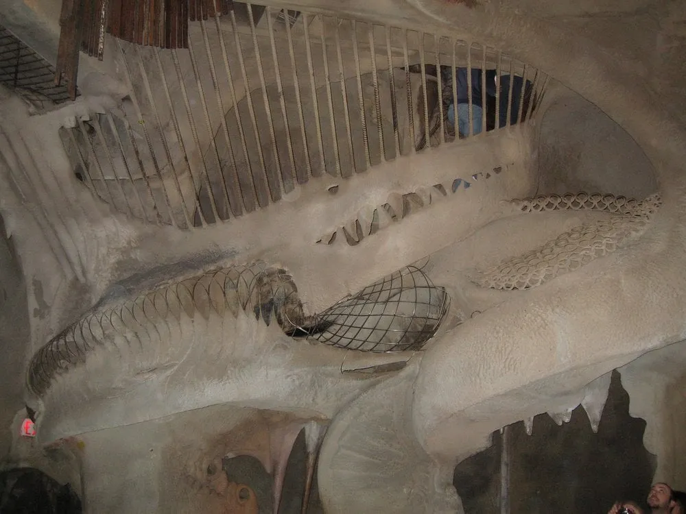 Reliable yard maintenance for residential properties across Durham, NC - For Garden's Sake