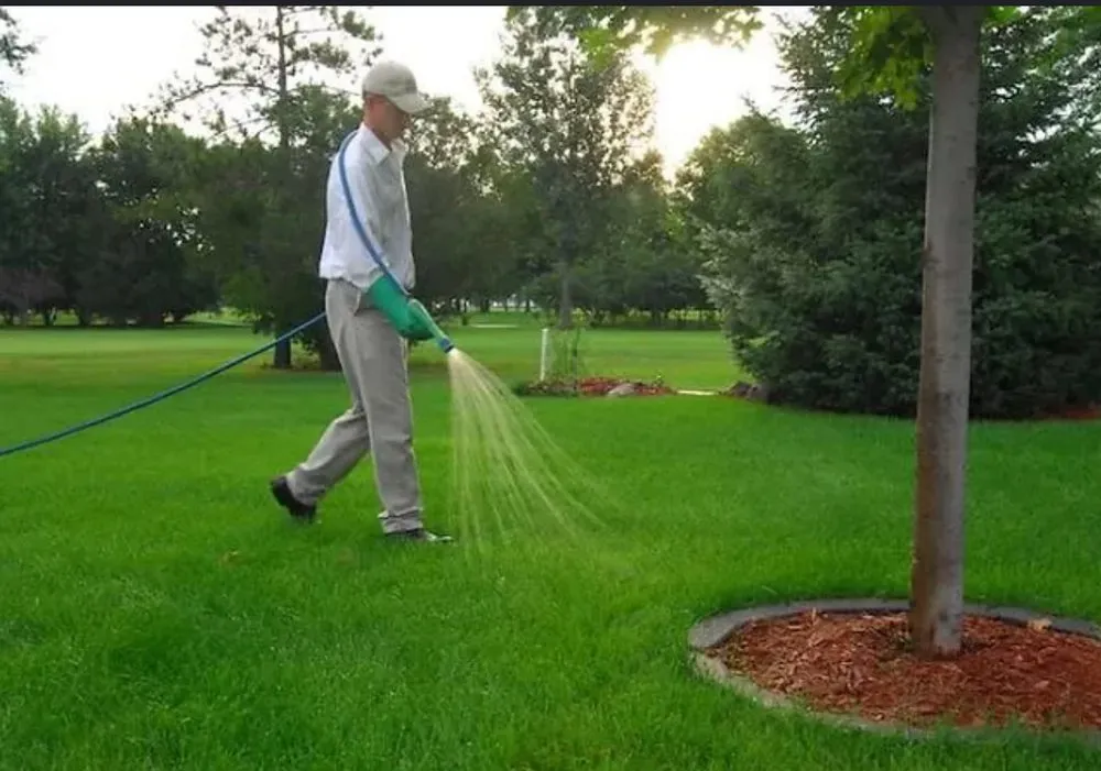 Custom landscape installation in Cumming, GA by For Greens Sake