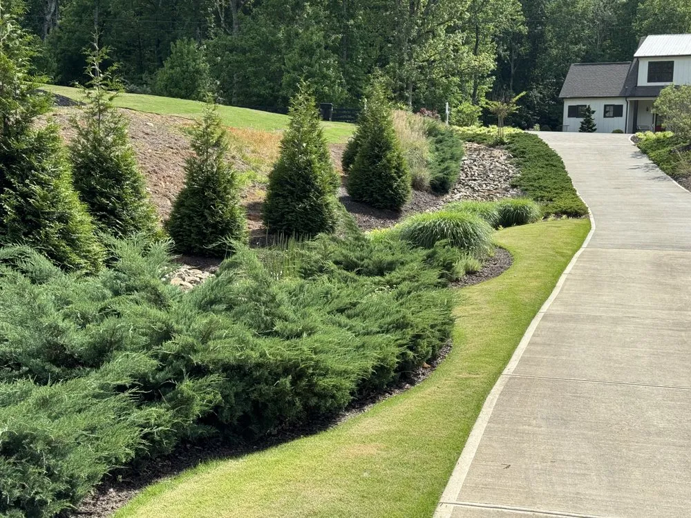 Affordable landscape installation in Cumming, GA by For Greens Sake