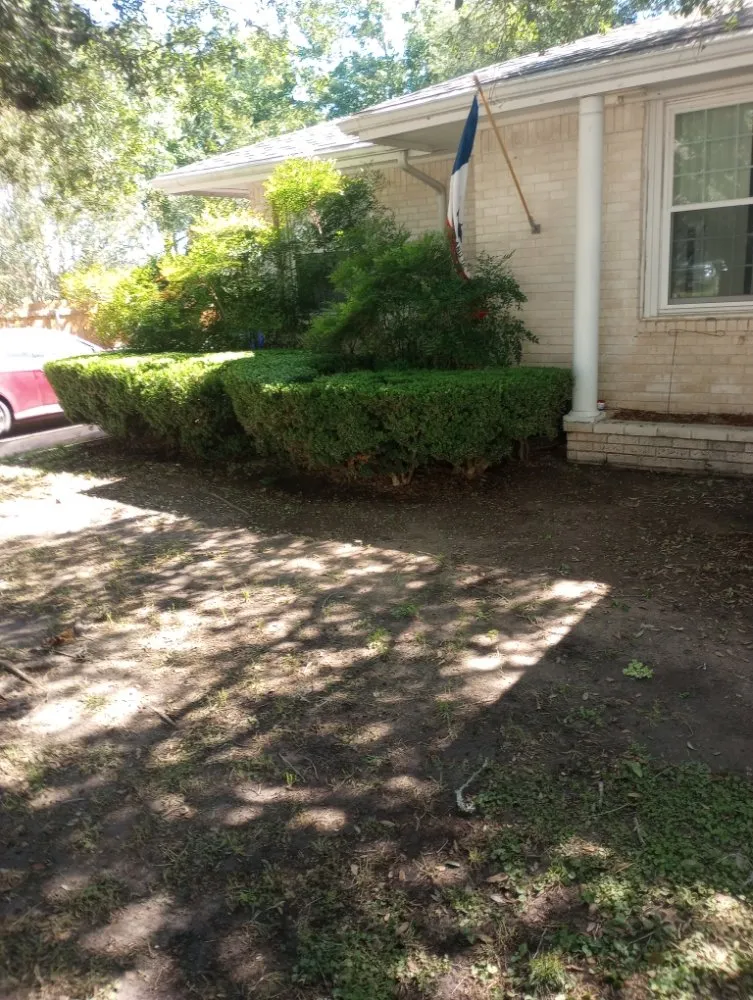 Top-rated yard cleanup service experts serving Springtown, TX - For Heaven's Sake Mowing
