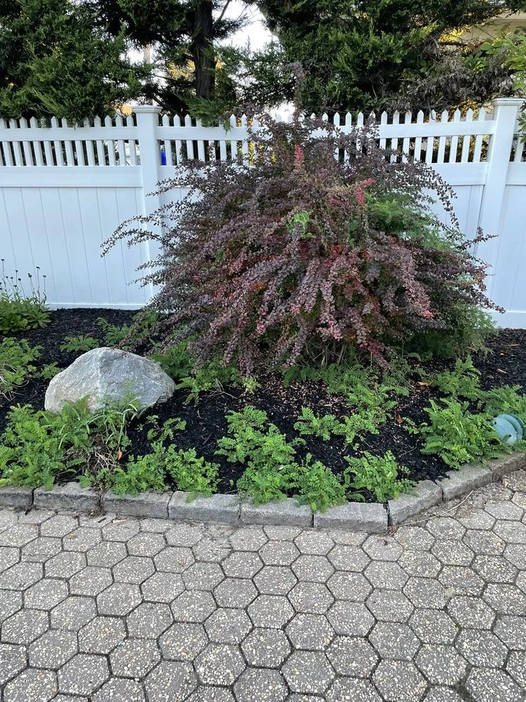 Professional yard cleanup service in Brick, NJ by For-Shore Weed Control