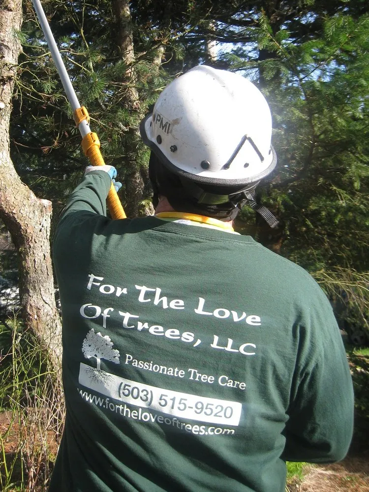 Reliable residential landscaping experts serving Beaverton, OR - For The Love Of Trees