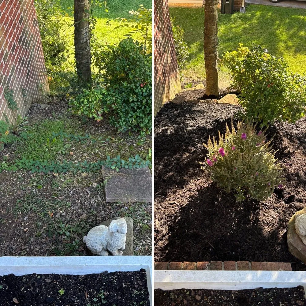 Professional landscaping services for residential properties in Knoxville, TN by For Them Tree Services