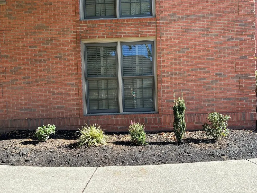 Custom landscape installation for beautiful yards across Knoxville, TN - For Them Tree Services