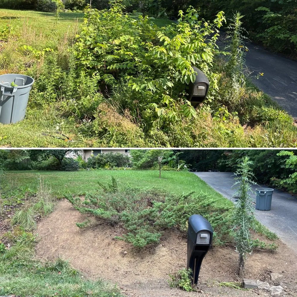 Trusted residential landscaping in Knoxville, TN by For Them Tree Services