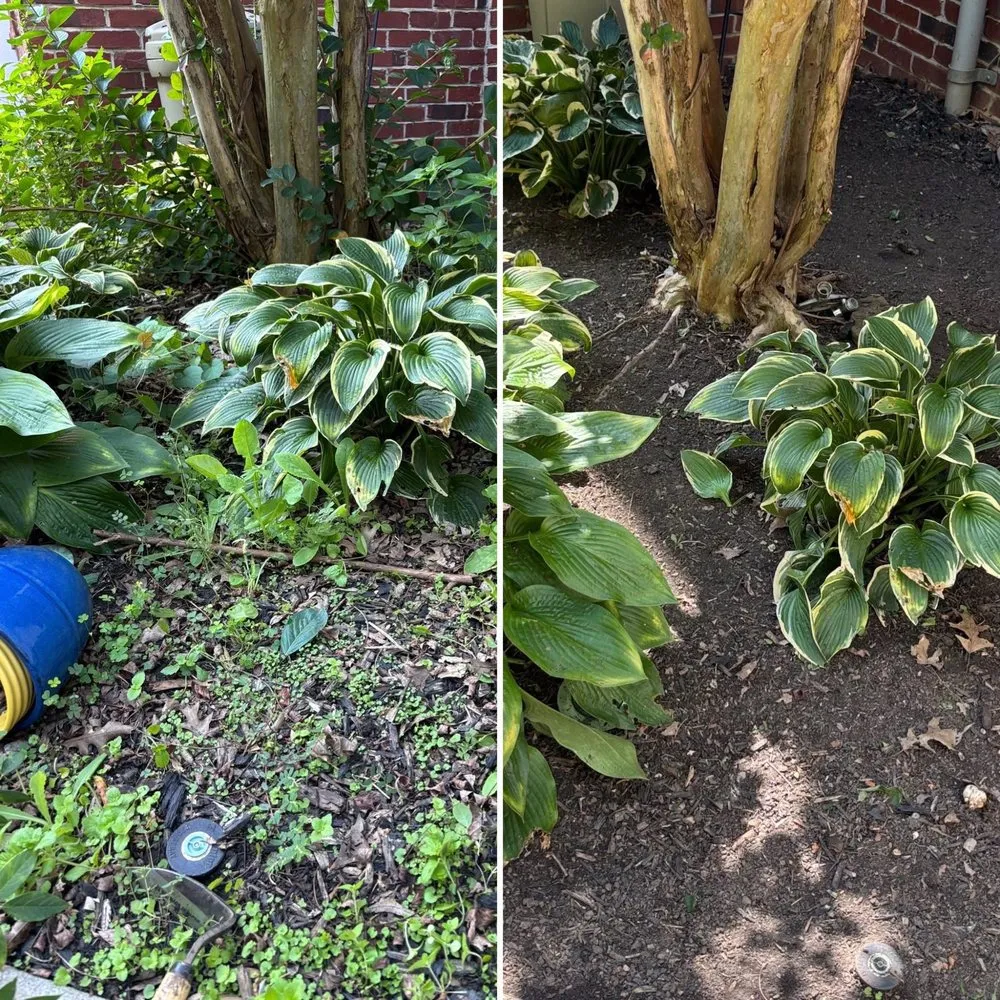 Professional lawn mowing service for year-round maintenance in Knoxville, TN by For Them Tree Services