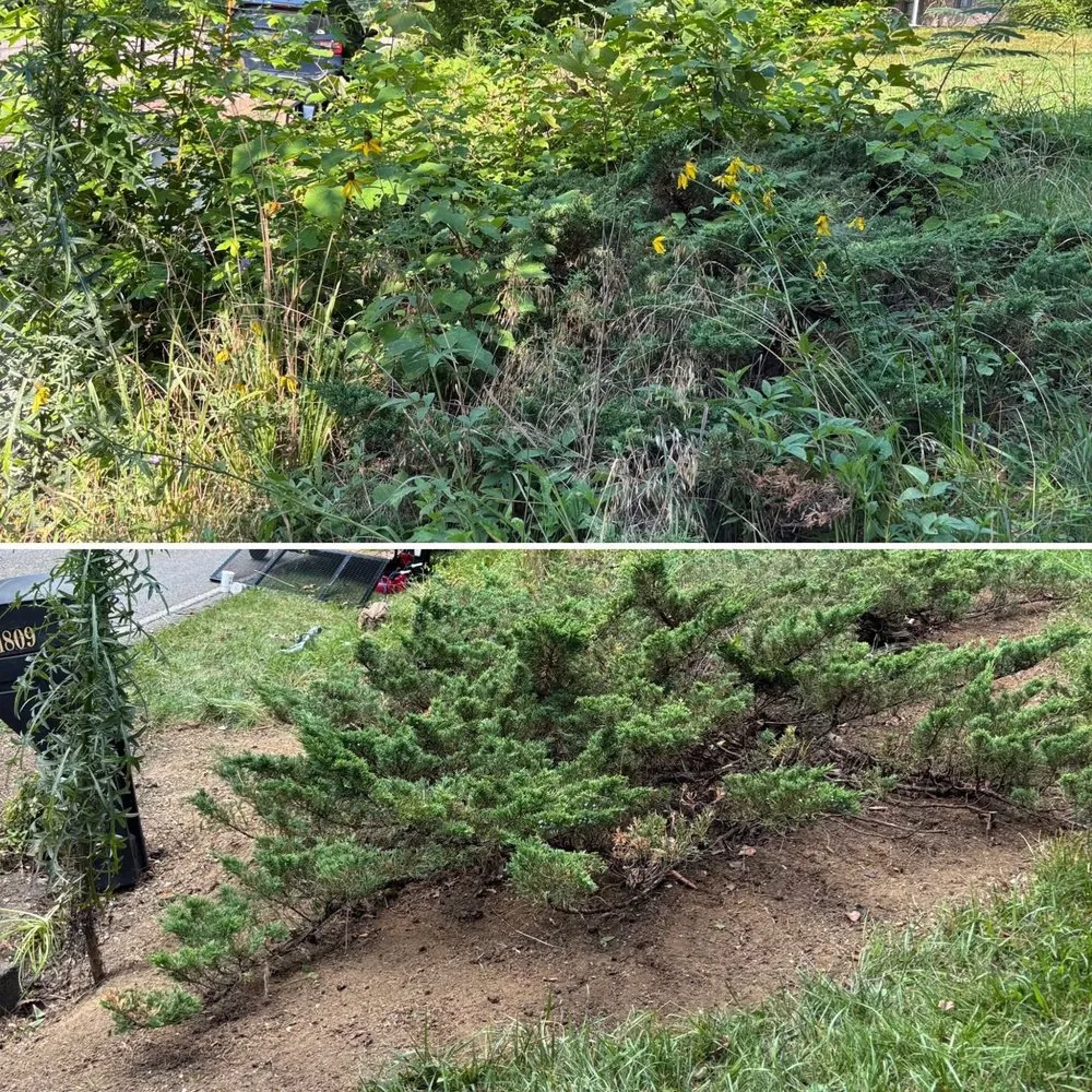 Expert outdoor landscaping for homes in Knoxville, TN by For Them Tree Services