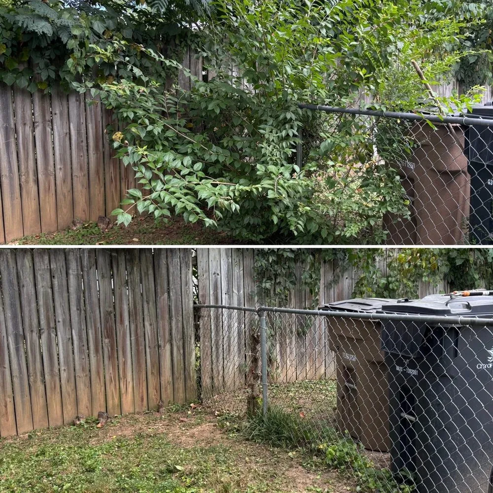 Professional residential landscaping near you across Knoxville, TN - For Them Tree Services