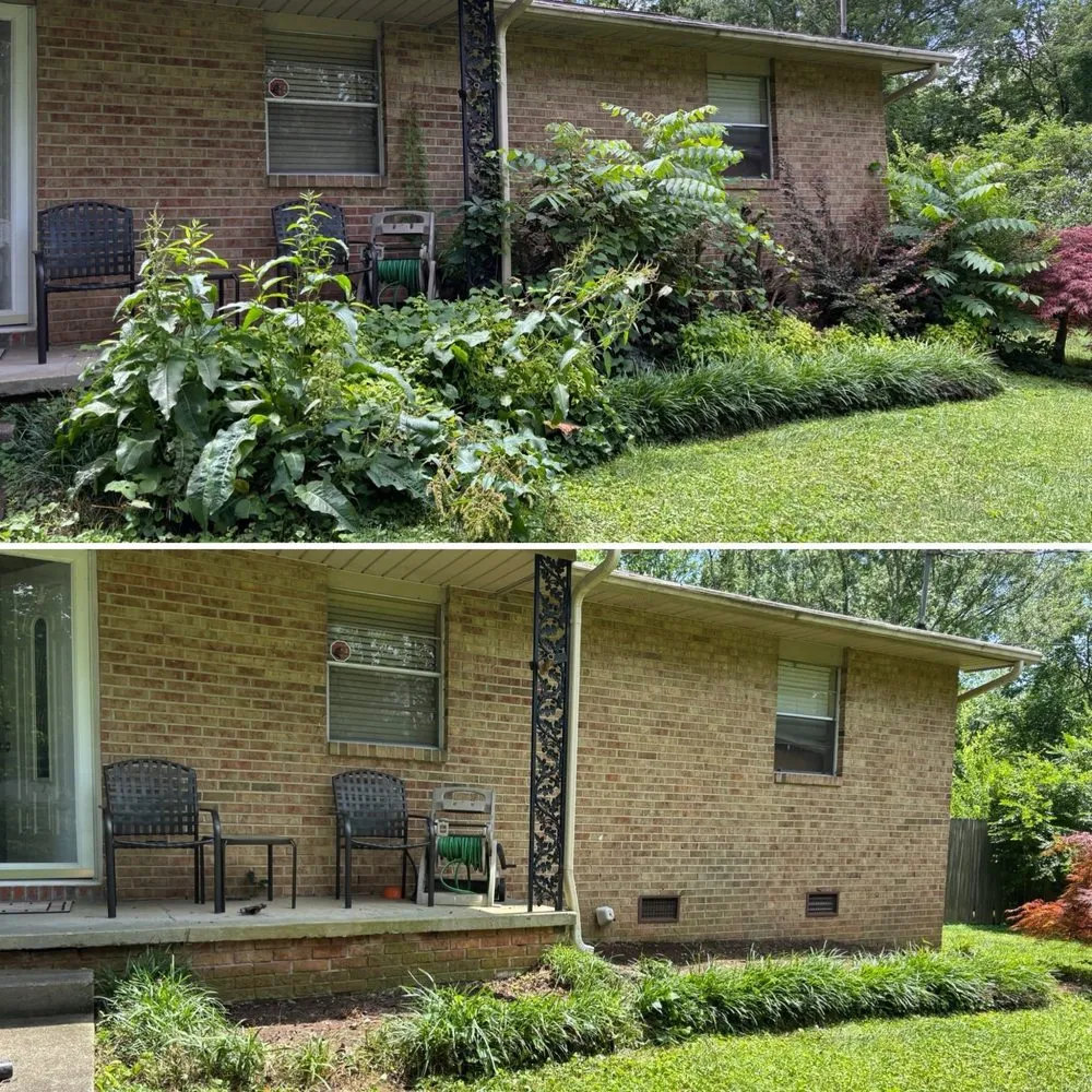 Top-rated yard maintenance near you in Knoxville, TN by For Them Tree Services