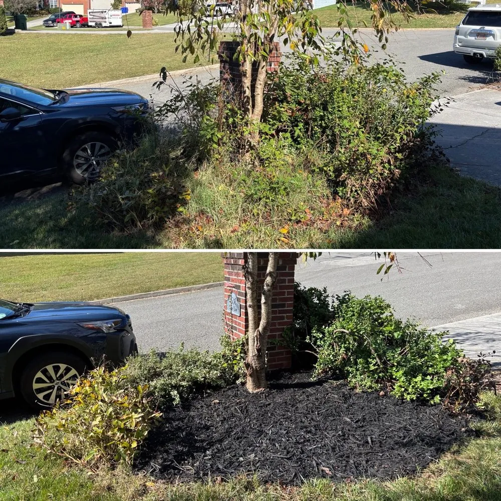 Trusted landscape installation in Knoxville, TN by For Them Tree Services