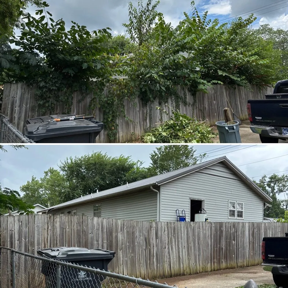 Trusted lawn care service with custom design across Knoxville, TN - For Them Tree Services