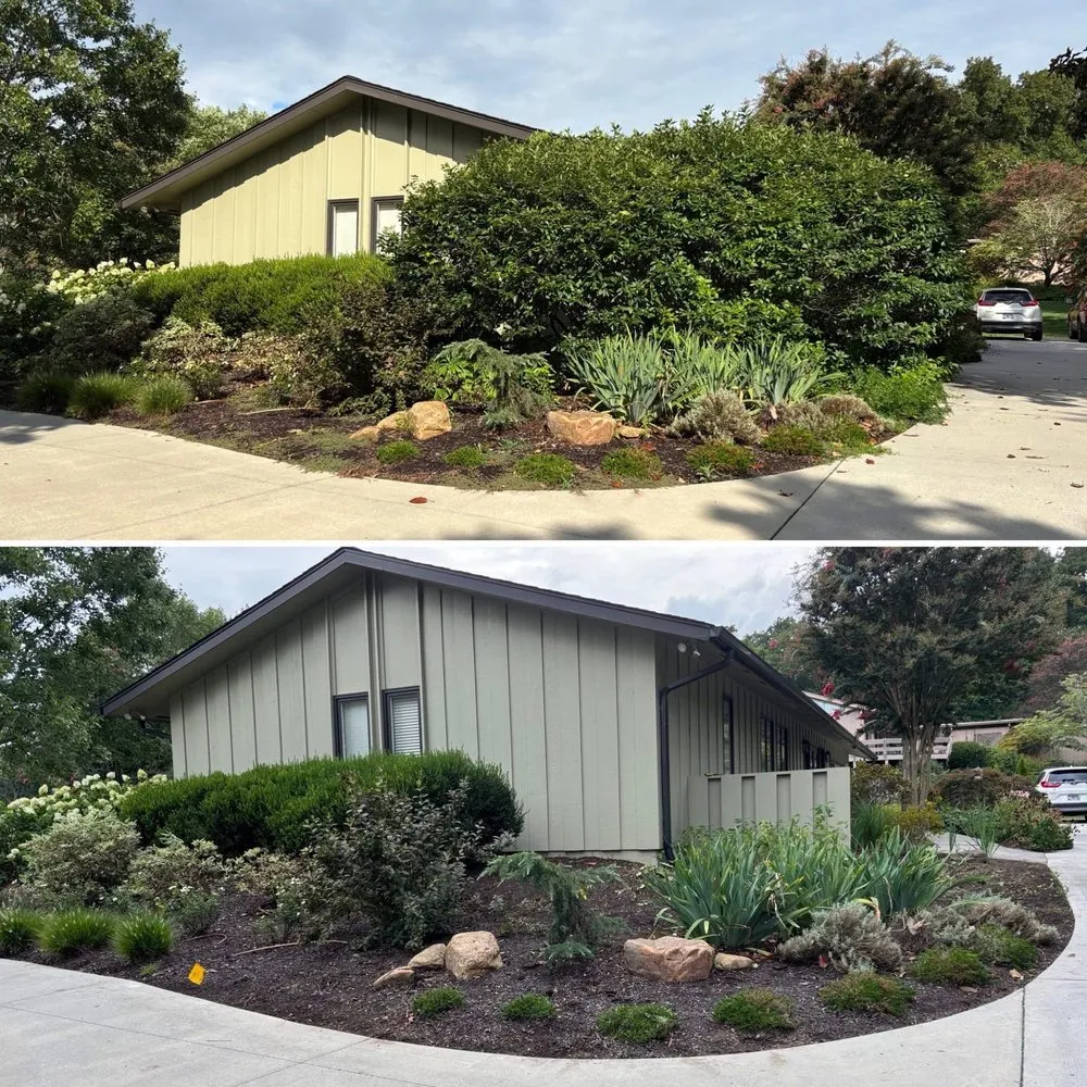 Professional lawn care service experts serving Knoxville, TN - For Them Tree Services