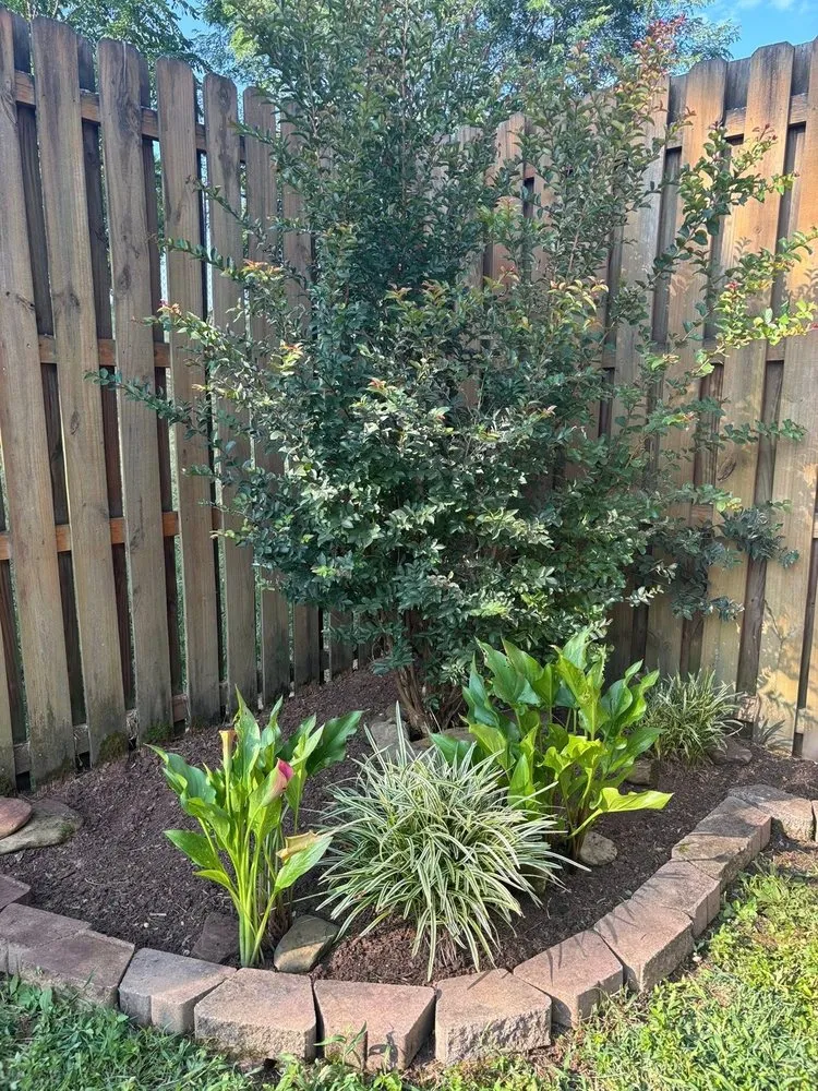 Custom outdoor landscaping for residential properties in Knoxville, TN by For Them Tree Services