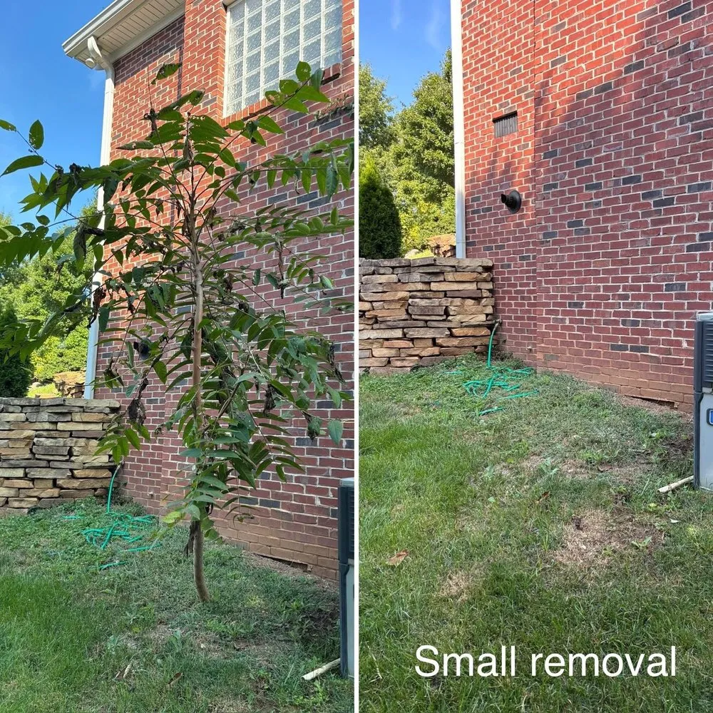 Top-rated landscape design in Knoxville, TN by For Them Tree Services