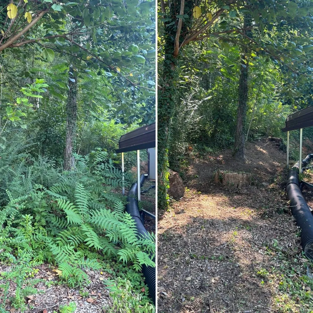 Custom yard cleanup service experts serving Knoxville, TN - For Them Tree Services