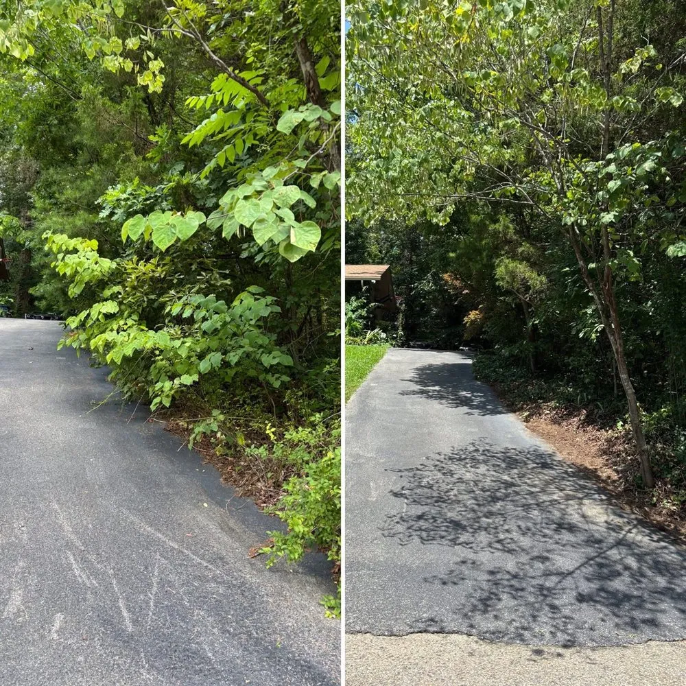 Top-rated outdoor landscaping for outdoor upgrades in Knoxville, TN by For Them Tree Services