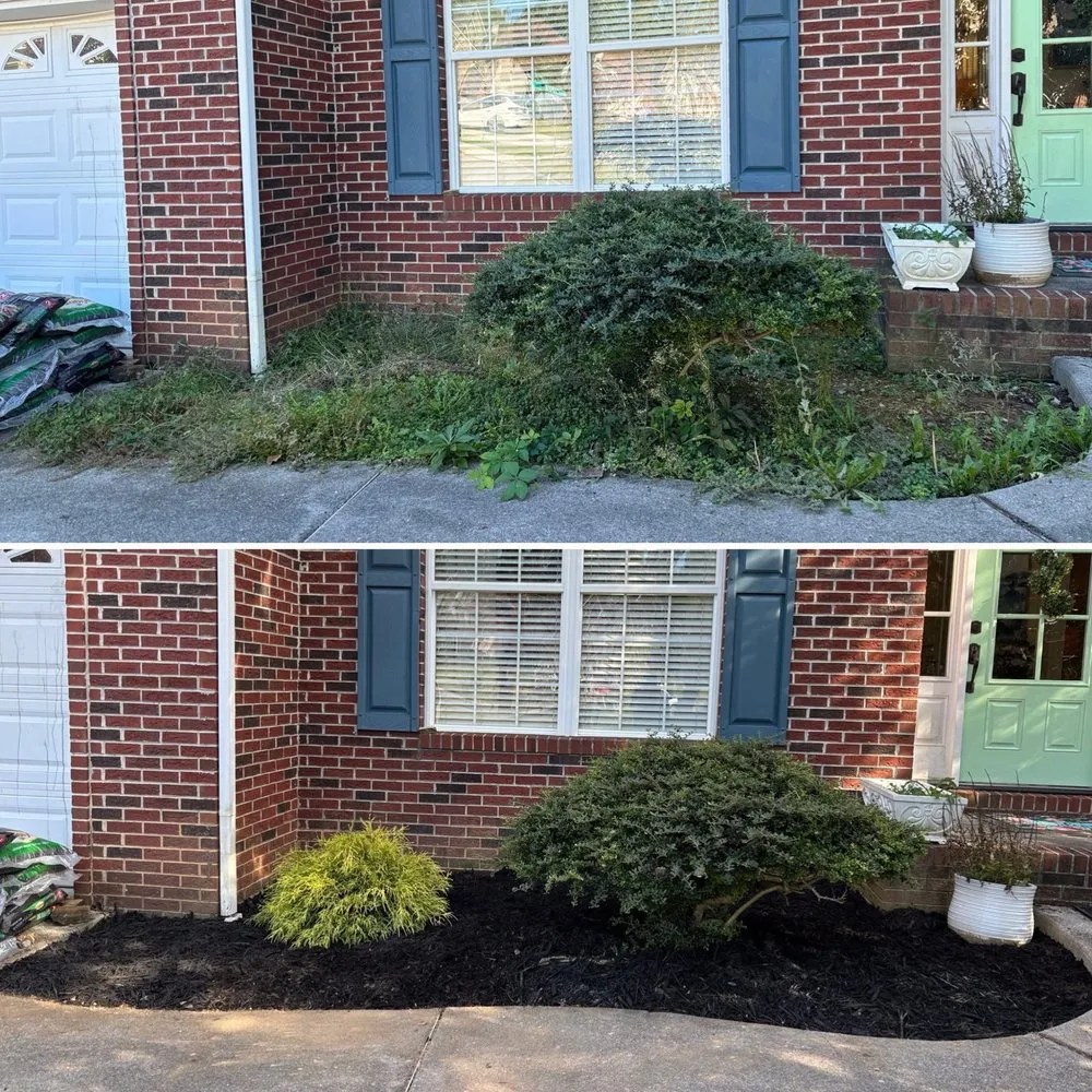 Local yard maintenance for residential properties across Knoxville, TN - For Them Tree Services