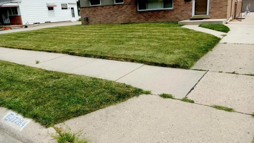 Expert residential landscaping experts serving Detroit, MI - For You Contracting