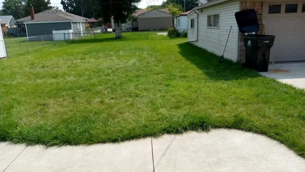 Expert residential landscaping in Detroit, MI - For You Contracting