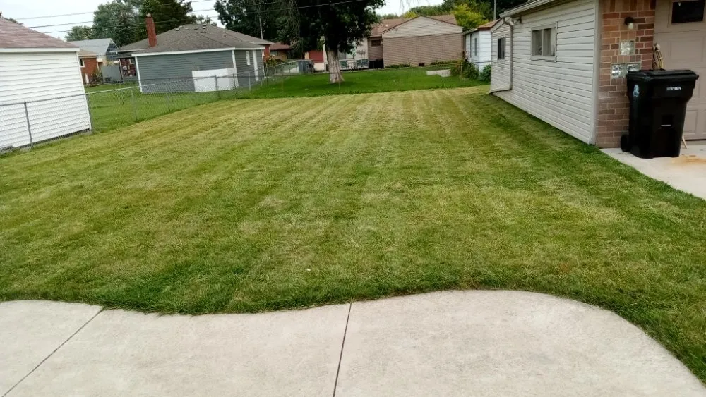 Custom yard cleanup service in Detroit, MI - For You Contracting