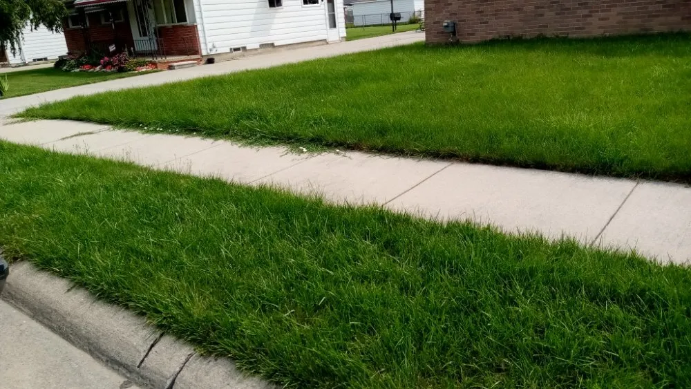 Reliable landscape design in Detroit, MI by For You Contracting