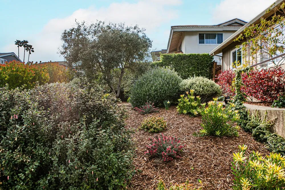Affordable residential landscaping in Fairfax, CA by For Your Gardens' Needs