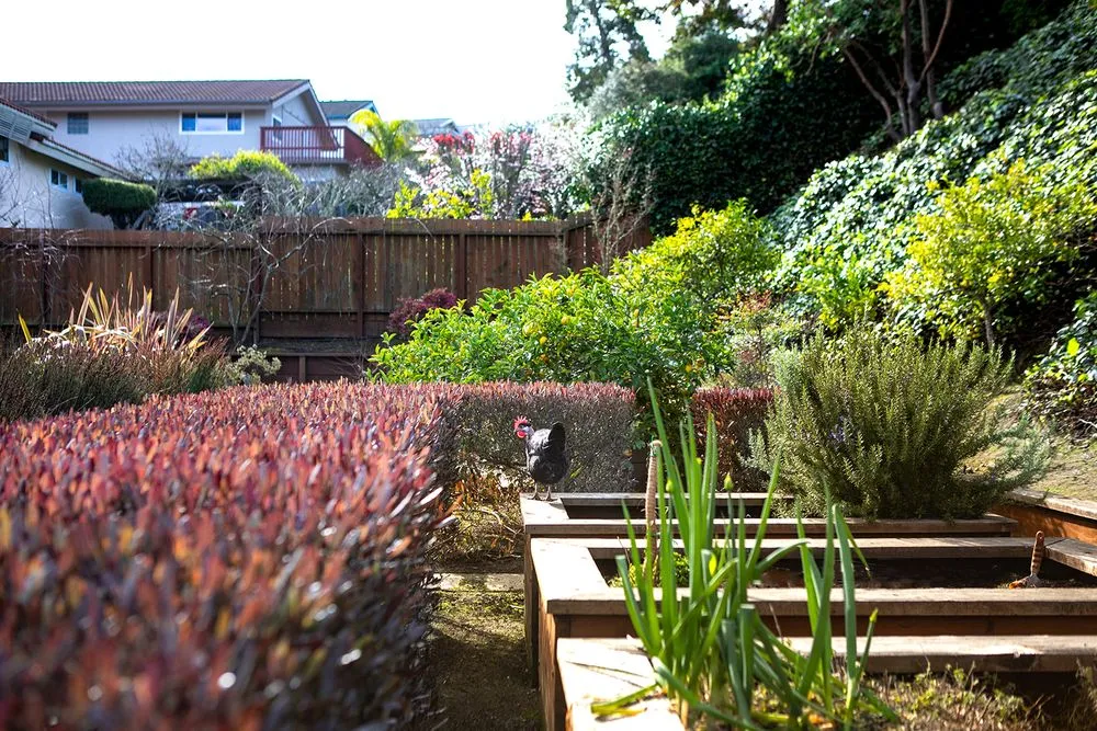 Top-rated landscaping services in Fairfax, CA by For Your Gardens' Needs