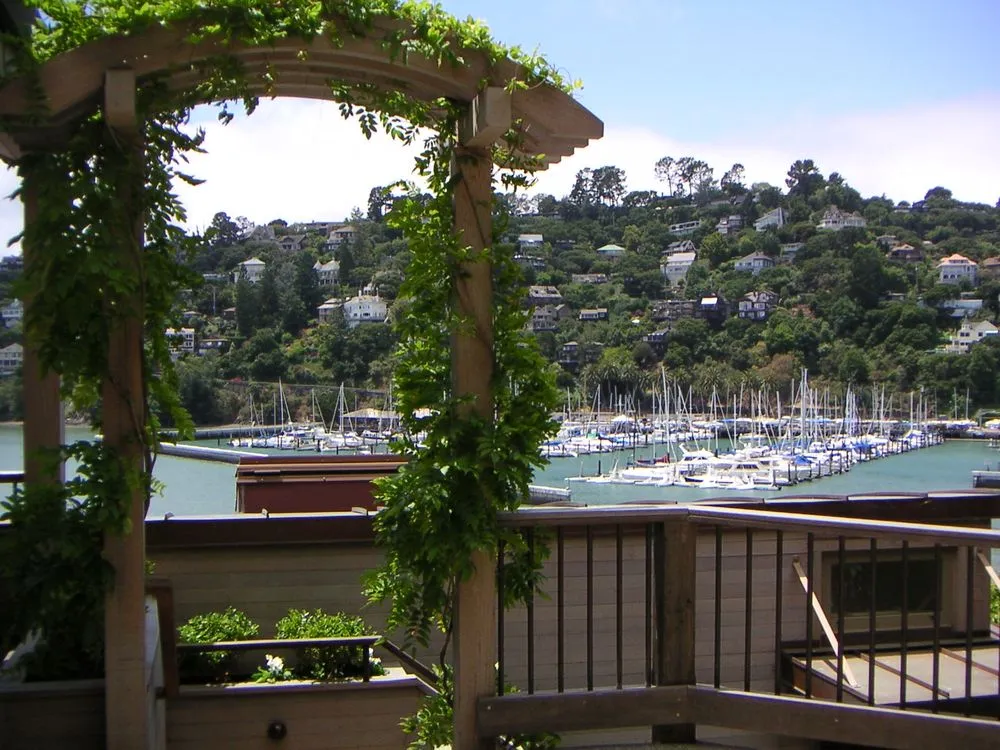 Professional yard cleanup service in Fairfax, CA - For Your Gardens' Needs