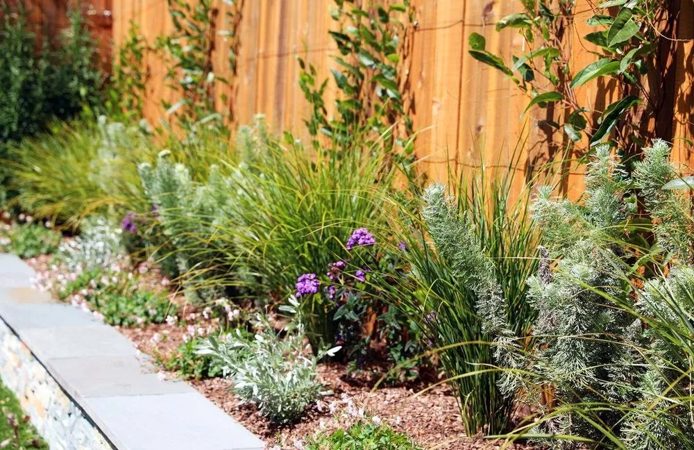 Expert residential landscaping for year-round maintenance across Fairfax, CA - For Your Gardens' Needs