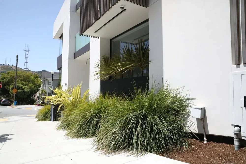 Reliable yard cleanup service in Fairfax, CA - For Your Gardens' Needs