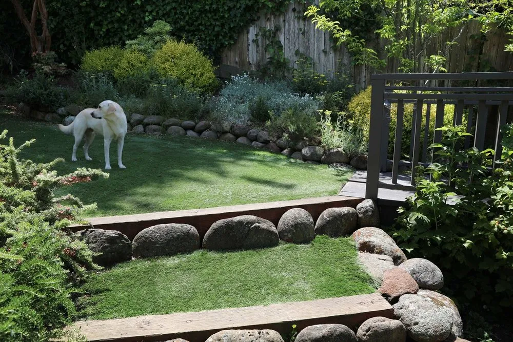 Trusted yard cleanup service in Fairfax, CA - For Your Gardens' Needs