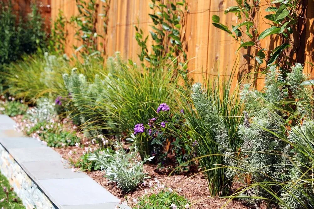 Custom yard maintenance in Fairfax, CA - For Your Gardens' Needs