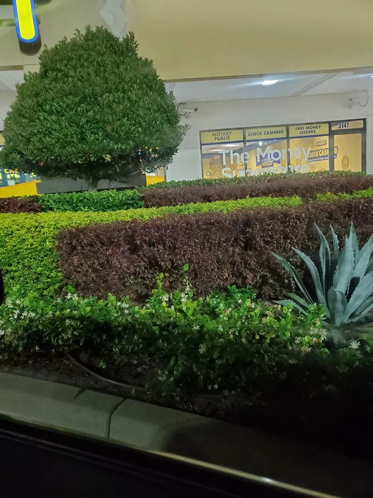 Affordable garden landscaping in Lakeland, FL by Forbes and Lawn Care