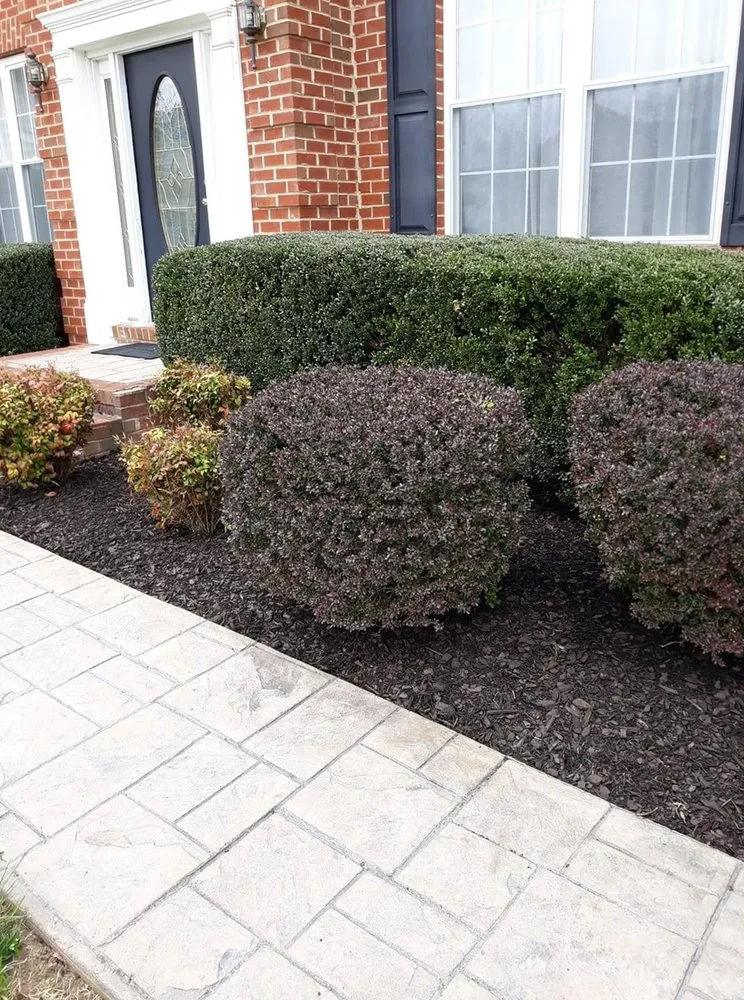 Top-rated yard cleanup service for year-round maintenance across Clinton, MD - Ford Lawn Service
