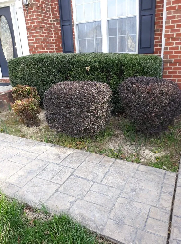 Professional garden landscaping for homes in Clinton, MD by Ford Lawn Service