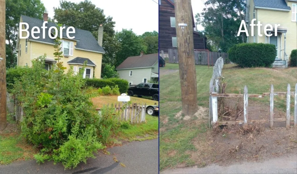 Custom lawn care service in Montague, MA - Forde's Fetchin & Fixin