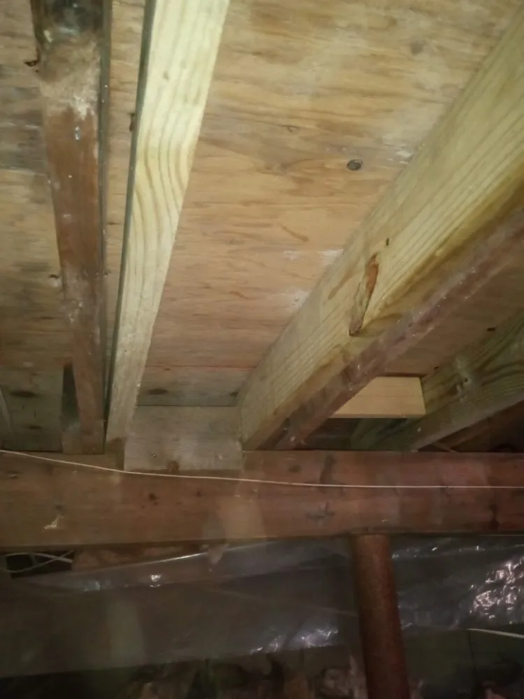 Top-rated lawn care service in Montague, MA - Forde's Fetchin & Fixin