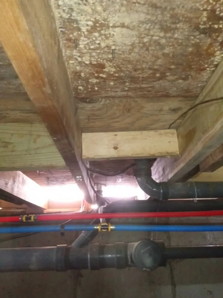 Expert lawn care service in Montague, MA - Forde's Fetchin & Fixin