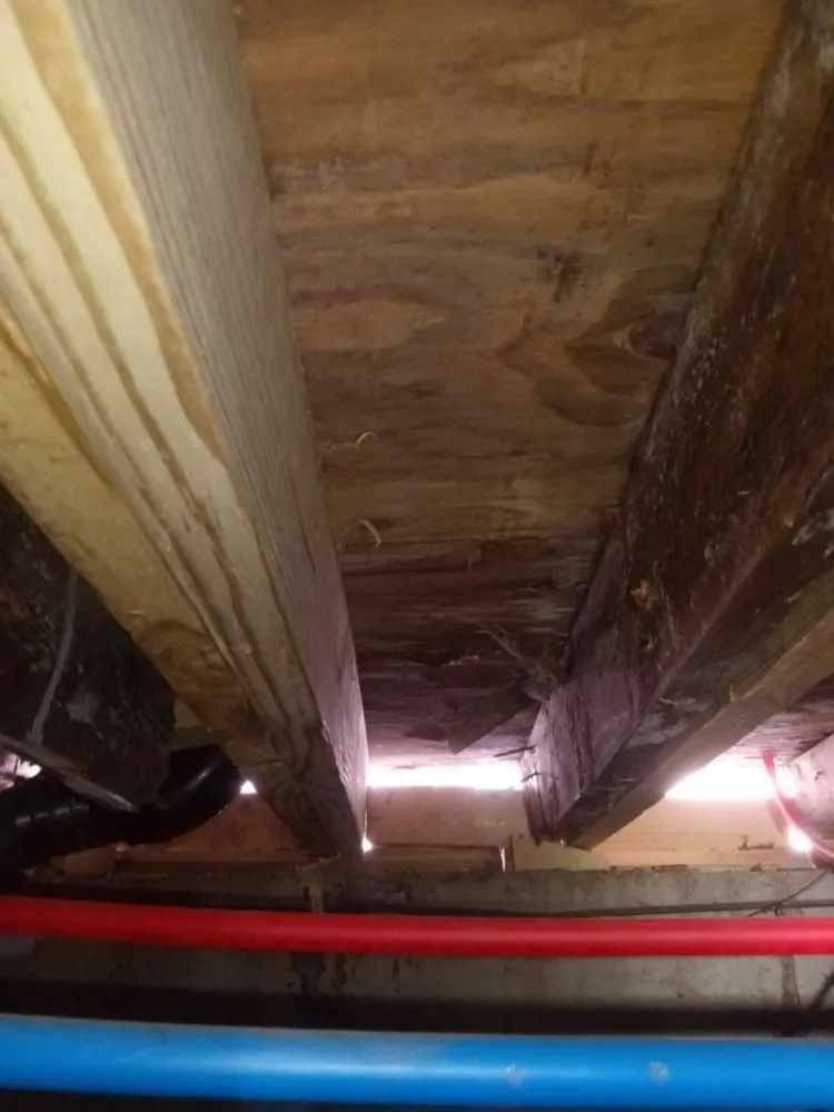 Affordable outdoor landscaping in Montague, MA - Forde's Fetchin & Fixin