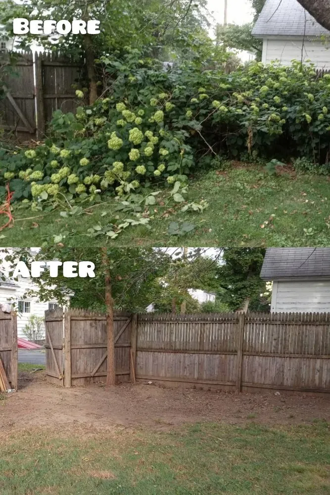 Expert yard cleanup service experts serving Montague, MA - Forde's Fetchin & Fixin