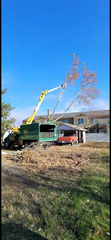 Trusted yard cleanup service for beautiful yards across Yakima, WA - Fords Affordable Landscaping And Tree Service
