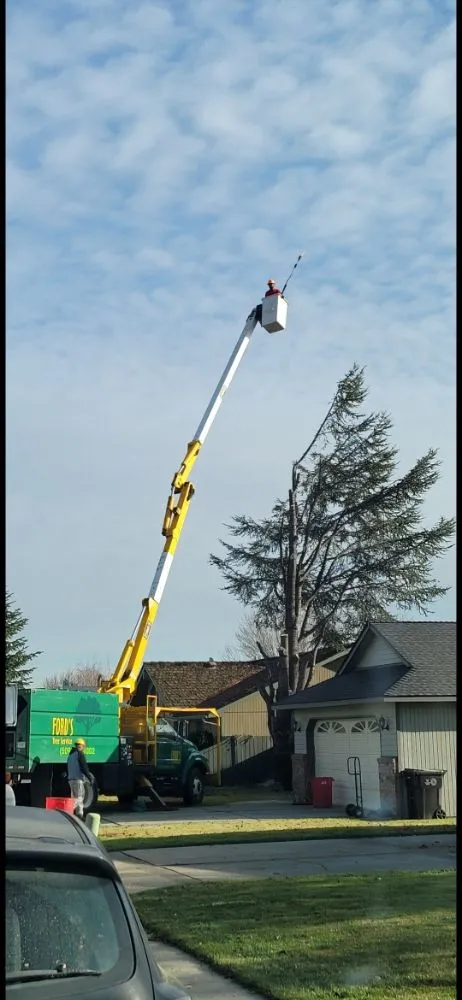 Reliable yard cleanup service in Yakima, WA - Fords Affordable Landscaping And Tree Service