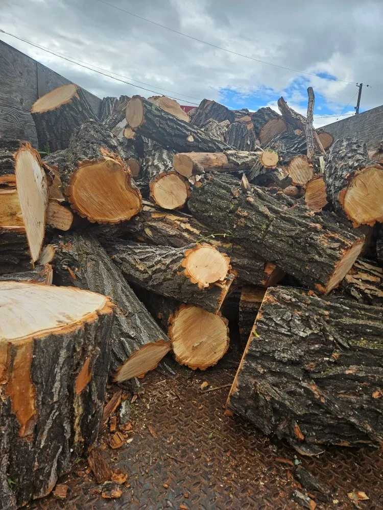 Top-rated landscaping services in Yakima, WA - Fords Affordable Landscaping And Tree Service