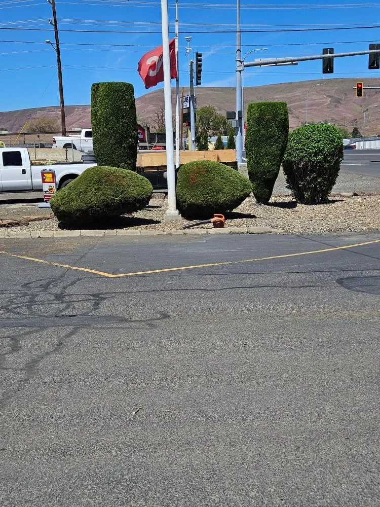 Trusted lawn care service in Yakima, WA by Fords Affordable Landscaping And Tree Service