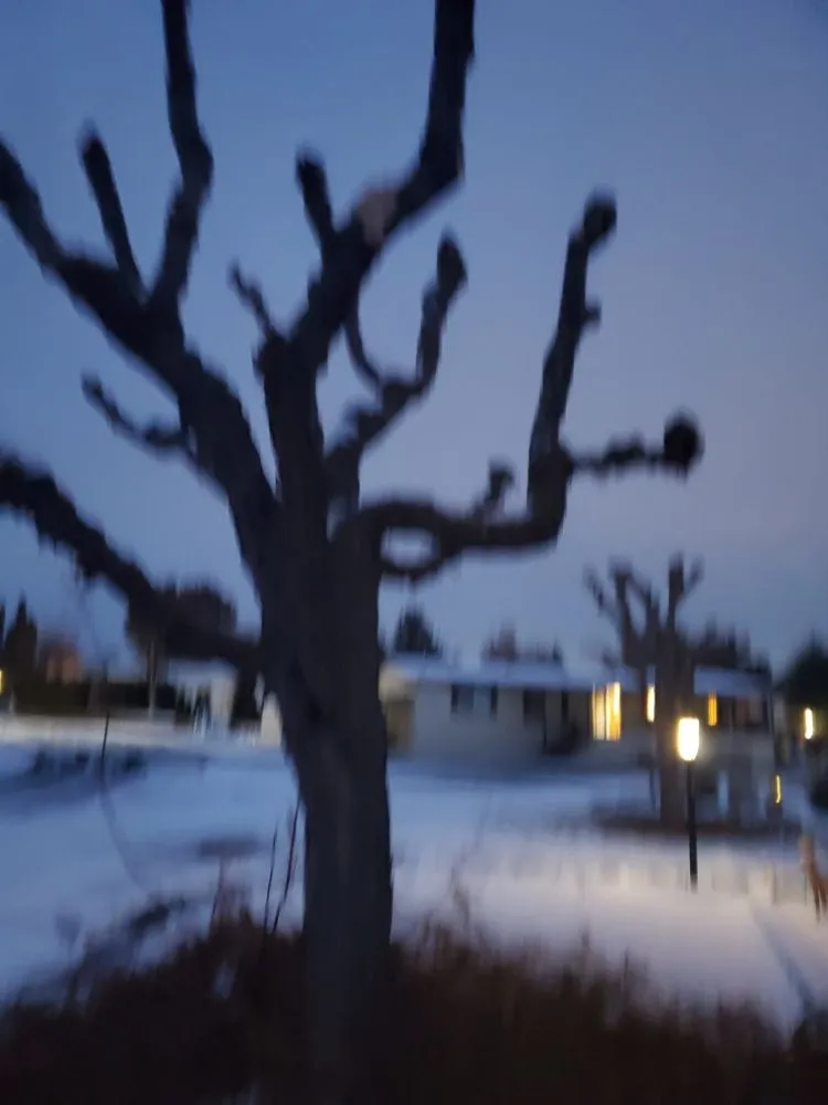 Custom yard maintenance for homes in Yakima, WA by Fords Affordable Landscaping And Tree Service