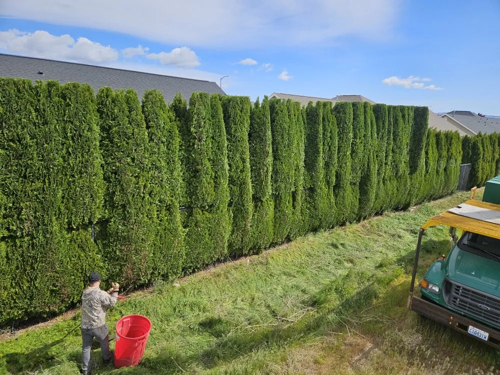 Reliable lawn care service experts serving Yakima, WA - Fords Affordable Landscaping And Tree Service
