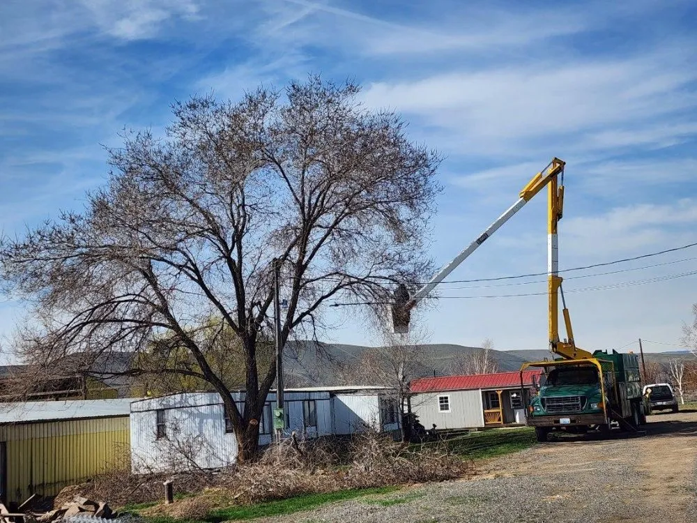 Expert landscape installation with custom design across Yakima, WA - Fords Affordable Landscaping And Tree Service