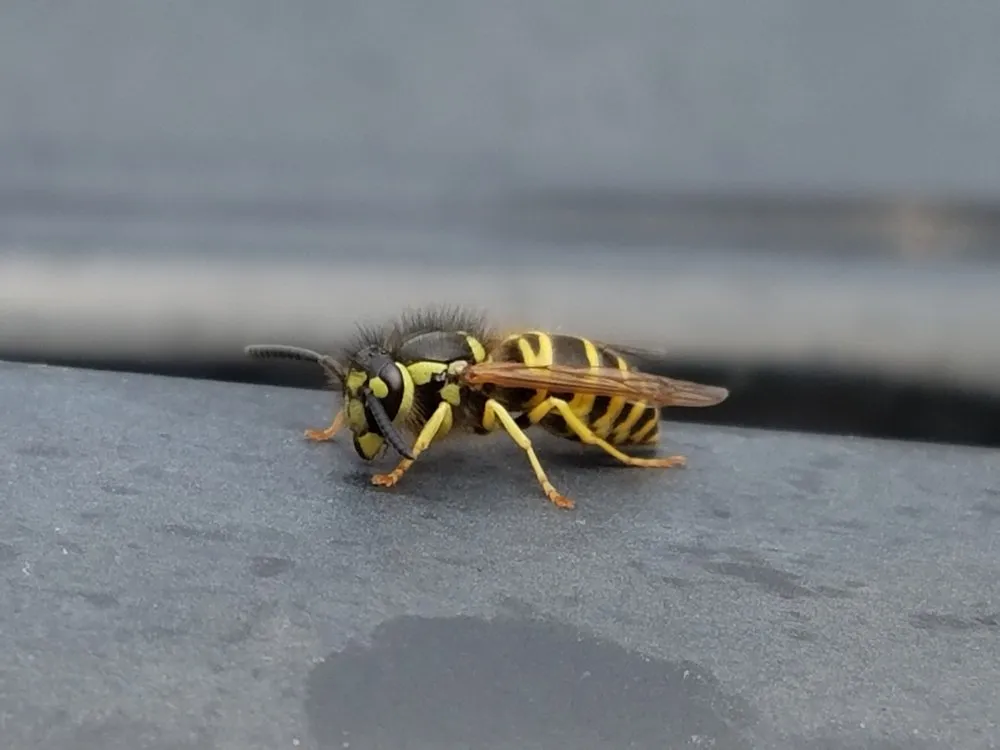 Affordable landscape installation in Worcester, MA by Ford's Hometown Services