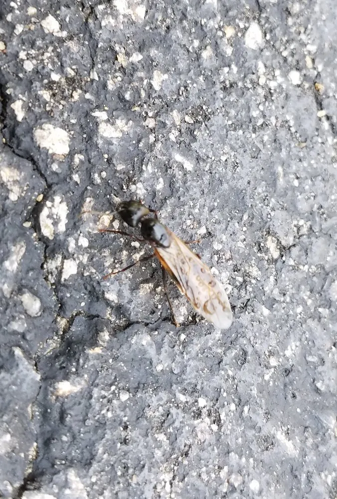 Expert outdoor landscaping in Worcester, MA - Ford's Hometown Services